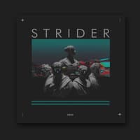 Strider