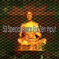 53 Special Auras for Zen Input