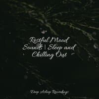 Restful Mood Sounds | Sleep and Chilling Out