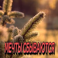 Мечты сбываются