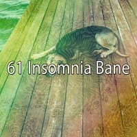 61 Insomnia Bane