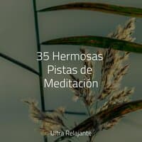 35 Hermosas Pistas de Meditación