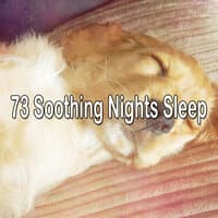 73 Soothing Nights Sleep