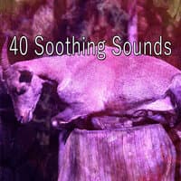 40 Soothing Sounds