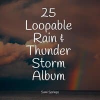 25 Loopable Rain & Thunder Storm Album