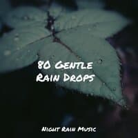 80 Gentle Rain Drops