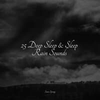 25 Deep Sleep & Sleep Rain Sounds