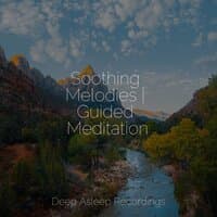 Soothing Melodies | Guided Meditation