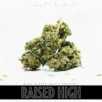 Raised High