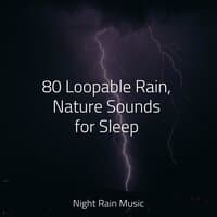 80 Loopable Rain, Nature Sounds for Sleep