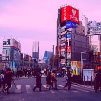 Echoes of Tokyo Jazz Bars