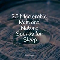 25 Memorable Rain and Nature Sounds for Sleep