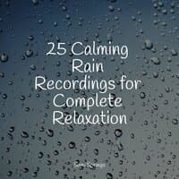 25 Calming Rain Recordings for Complete Relaxation