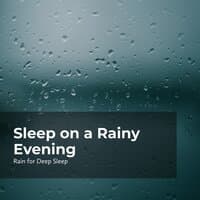 Sleep on a Rainy Evening