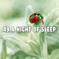 49 A Night Of Sleep