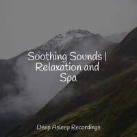 Soothing Sounds | Relaxation and Spa