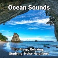 Ocean Sounds for Sleep, Relaxing, Studying, Noisy Neighbors