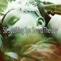 50 Soothing Spa Sound Therapy