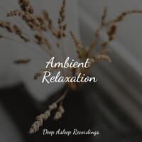 Ambient Relaxation