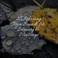 25 Relaxing Rain Sounds for Serenity & Massage