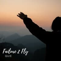 Failure 2 Fly