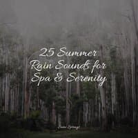 25 Summer Rain Sounds for Spa & Serenity