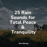 25 Rain Sounds for Total Peace & Tranquility