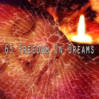 65 Freedom in Dreams