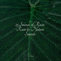 25 Sounds of Rain: Rain & Nature Sounds