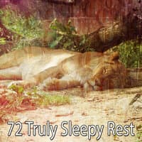 72 Truly Sleepy Rest