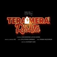 Tera Mera Rishta