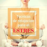 Tecnicas De Relajacion Para El Estres