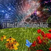 51 Mind Calming Lullabye Music