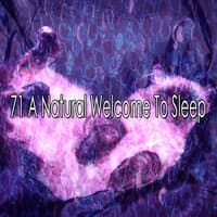 71 A Natural Welcome to Sleep