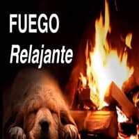 Fuego relajante