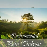 Instrumental Para Trabajar