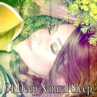 64 Deep Natural Sleep