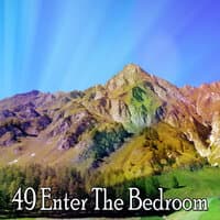 49 Enter the Bedroom