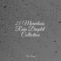 25 Marvelous Rain Droplet Collection