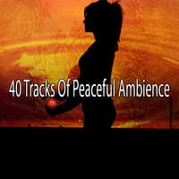 40 Tracks of Peaceful Ambience