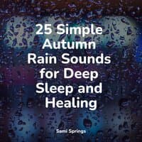 25 Simple Autumn Rain Sounds for Deep Sleep and Healing