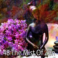 48 The Mist of Zen