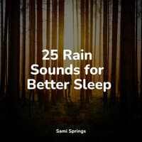 25 Rain Sounds for Better Sleep