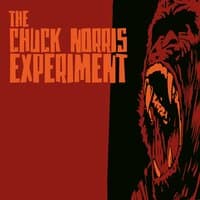 The Chuck Norris Experiment