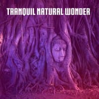 Tranquil Natural Wonder