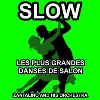 Les plus grandes danses de Salon: Slow