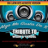 Algo Me Gusta de Ti - Tribute To Wisin & Yandel - Ep