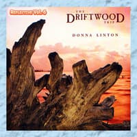 The Driftwood Trip