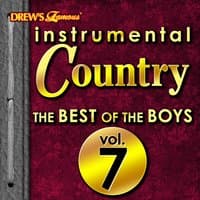 Instrumental Country: The Best of the Boys, Vol. 7