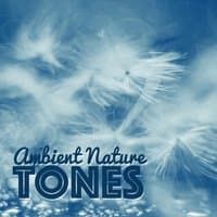 Ambient Nature Tones